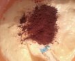 Rulada cu cacao-1