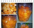 Kumquat in sirop-1