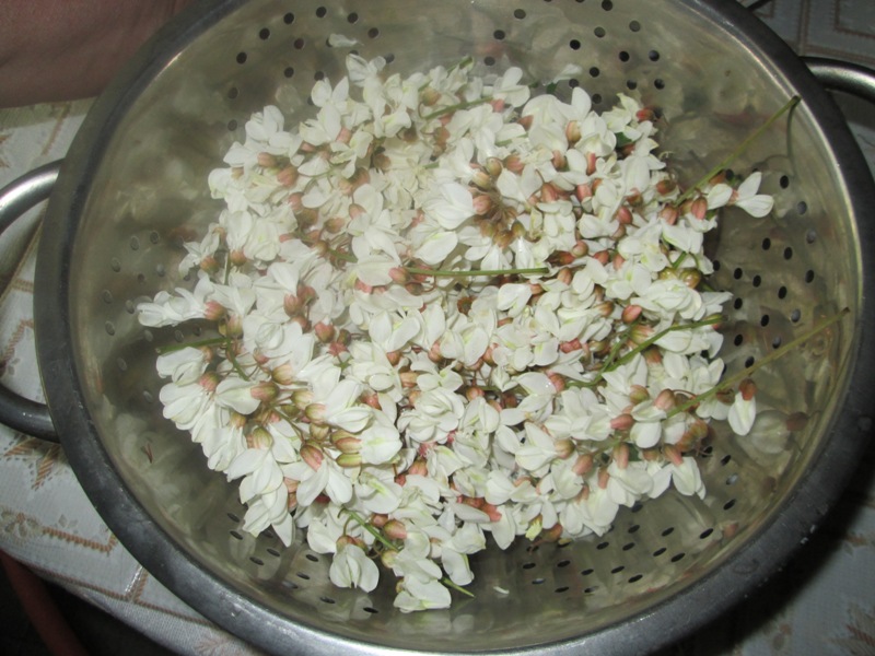Clatite cu flori de salcam