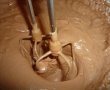 Inghetata tiramisu cu ciocolata-5
