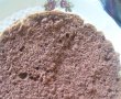 Tort de ciocolata cu frisca-5