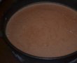 Tort de inghetata cu ciocolata si vanilie-7
