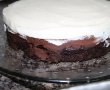 Desert tort de ciocolata Tuxedo-8