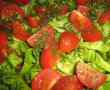 Salata proaspata-4