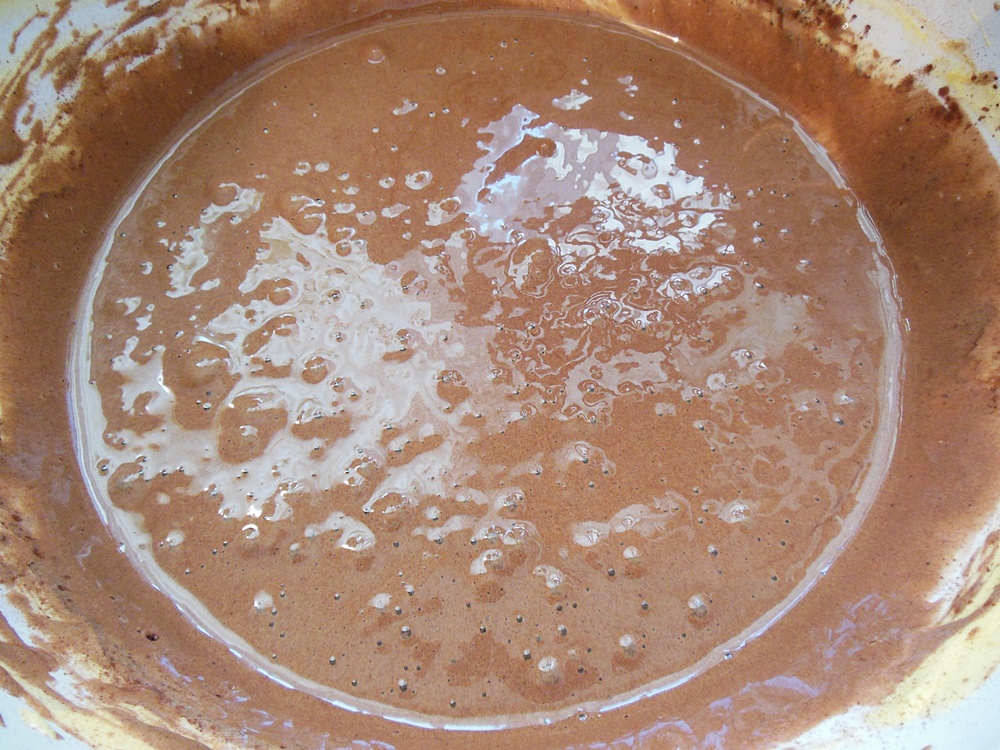 Tort cu cacao si crema de caise
