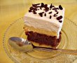 Desert prajitura cu blat ciocolatos si budinca de vanilie-12