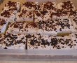 Desert prajitura cu blat ciocolatos si budinca de vanilie-13