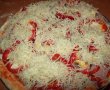 Pizza Capriciosa-6