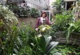 Bucătăraş hai –hui – Grădina Botanică „Vasile Fati” Jibou-17
