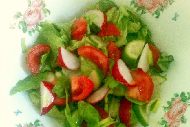 Salata pentru dieta