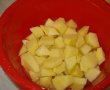 Tocanita de cartofi cu ceapa verde-4