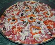 Pizza cu de toate (motaneasca)-13