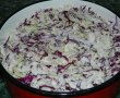 Salata asortata pentru iarna (reteta Motan)-0