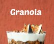 Granola cu nuci si iaurt grecesc-0