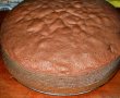 Tort Padurea Neagra (Reinventat)-0