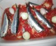 Sardine cu sos de roşii la cuptor-0