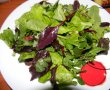 Salata de frunze tinere-6