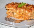 Lasagna cu carne de curcan-16