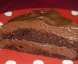 Tort de ciocolata si reteta cu nr. 800 pe bucataras.ro-0