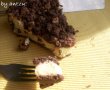 tarta ruseasca cu branza si ciocolata-5