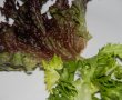 Salata cu alge de mare -2-2