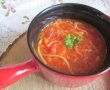 Supă de roșii cu tăiței de casă-1