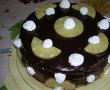 Tort "RAPID" cu ciocolata si ananas-2