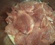 Tocanita de ciuperci cu carne de porc-1