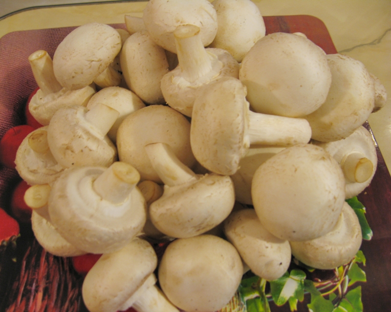Ciupercute umplute cu sunca si pasta de branza
