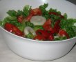 Salata de primavara-0