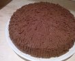 Tort cu blat pufos si crema de cacao-13