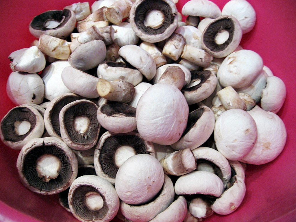 Tocanita de ciuperci cu piept de pui si leurda