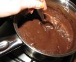Inghetata de ciocolata amaruie-1