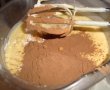 Blat de tort cu cacao-3