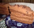 Tort cu mousse de ciocolata-16