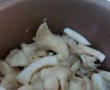 Mancarica de ciuperci pleurotus-1