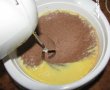 Tort de branza cu ciocolata si cappuccino-1