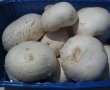 Ciuperci umplute cu legume si piept de pui la slow cooker Crock-Pot-0