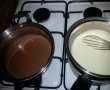 Inghetata cremoasa cu cacao si ciocolata-11