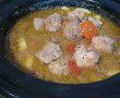 Tocana de legume cu carne de porc la slow cooker Crock-Pot-13