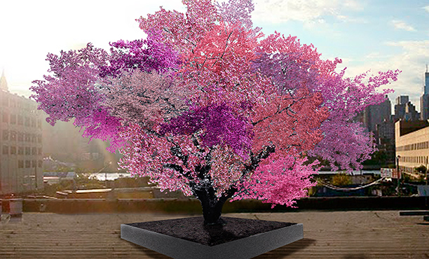 A fost inventat copacul care face 40 de tipuri diferite de fructe