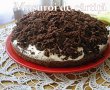 Desert tort musuroi de cartita-2