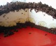 Desert tort musuroi de cartita-3