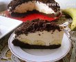 Desert tort musuroi de cartita-5