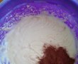 Prajitura cu iaurt si cacao-2