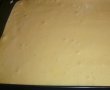 Prajitura cu mango caramelizat, crema de vanilie si frisca-2