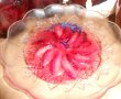 Dulceata de piersici rosii-9