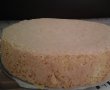 Tort cu crema suhaida-0