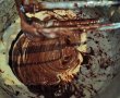 Prajitura fina cu ciocolata-5