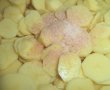 Cartofi gratinati cu branza,cascaval si parmezan Delaco-0